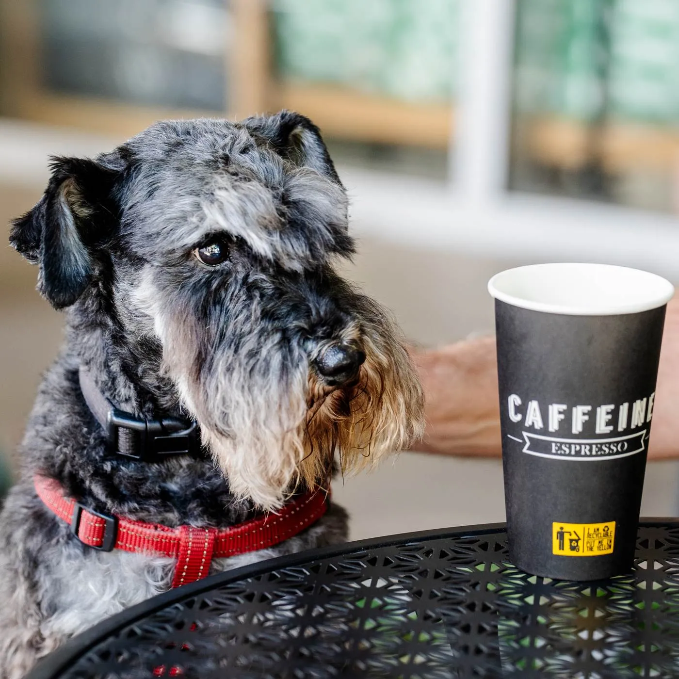 Caffeine Espresso